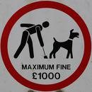Dog Fouling  - Click for larger version